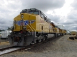 Shinny "Yellow Stripe" GEVO's UP 5494